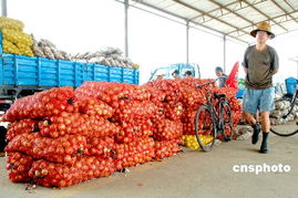 中国计划用三年升级改造两千家农产品批发市场